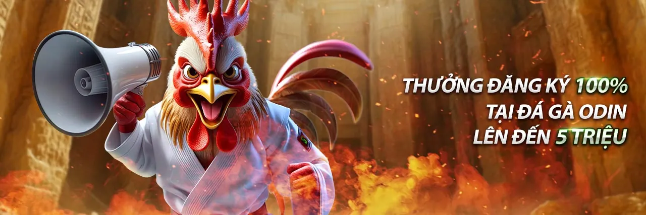 Chương trình đối tác Baowin